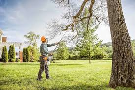 Best Tree Planting Services  in Port Sulphur, LA